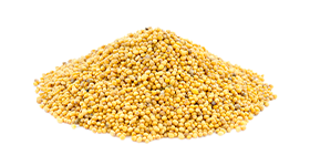 Mustard seed yellow
